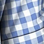 french blue check
