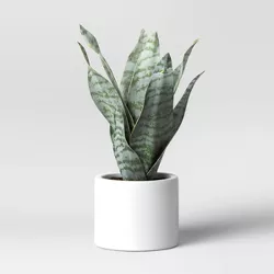 8" x 5" Artificial Snake Plant in Pot - Project 62™