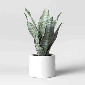 8" x 5" Artificial Snake Plant in Pot - Threshold™