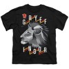 Boys' Harry Potter Gryffindor Lines T-Shirt - 2 of 4