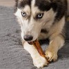 Pet Factory Made in USA Beefhide Chip Rolls - 5" - 3 of 4