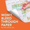 Paper Mate Flair Pens 12ct Theme Pack - 3 of 4