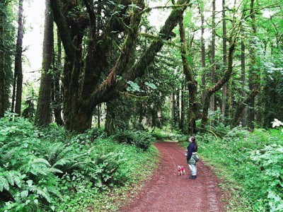 Guest review image 1 of 3, zoom in