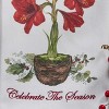 Park Designs Celebrate The Season Decorative Dishtowel Set Of 2 - 3 of 4