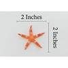 Collectible Wildlife Gifts | Starfish, Sea Star, Echinoderms,  Asteroidea, Ocean, Sea Life, Plastic ,  Animal, Life Like, Gift,   2 "   F931 B158 - 2 of 4