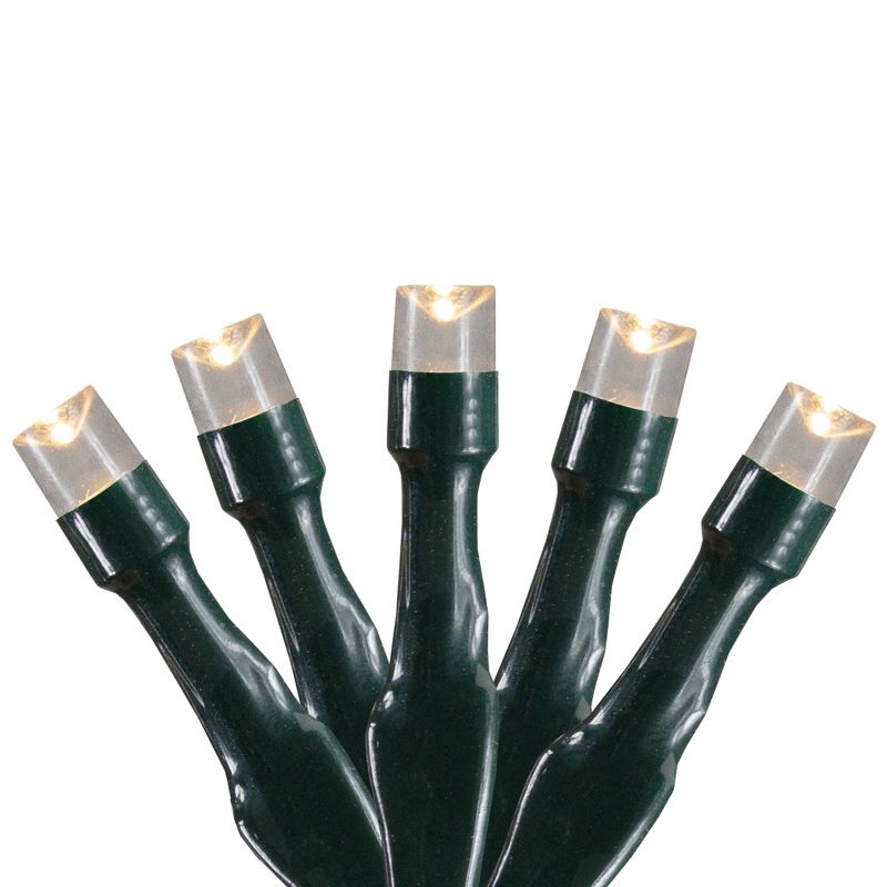 Northlight Battery Operated LED Christmas Lights - Warm White - 9.5' Green Wire - 20ct, 1 of 4