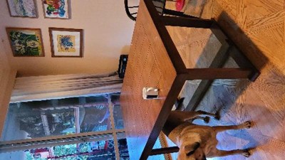 Guest review image 2 of 2, zoom in