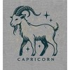 Capricorn Zodiac Sign Adult Crew Neck Short Sleeve Tee - 2 of 2