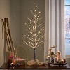 Christopher Knight Home 4' Pre-Lit Artificial Twig Christmas Tree Warm White Lights - Brown/Snow - 2 of 4