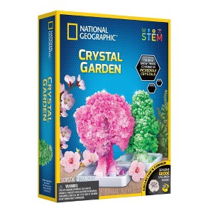 National Geographic Crystal Garden Science Kit - 1 of 4