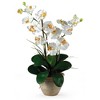 Nearly Natural Double Phalaenopsis Silk Orchid Flower Arrangement, Orchid - 3 of 4