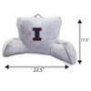 NCAA Illinois Fighting Illini Faux Fur Backrest - 2 of 3