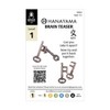 Bepuzzled Hanayama Level 1 Key Cast Puzzle - 2pc - 3 of 4