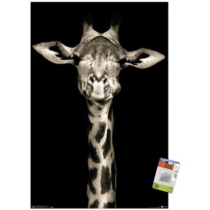 Trends International Portrait of a Giraffe Unframed Wall Poster Prints - 1 of 4
