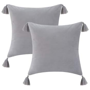 2 Pieces Tassels Velvet Decorative Throw Pillow Covers