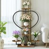 Artloge 5 Tiers Heart-shape Plant Rack Industrial Metal Plant Display Stand Floor Flower Pot Shelf for Home Patio Garden - 3 of 4