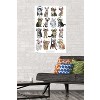 Trends International Keith Kimberlin - Kittens - Headphones Unframed Wall Poster Prints - 2 of 4
