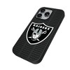 NFL AFC Teams Text Backdrop MagSafe Compatible Cell Phone Case for Apple iPhone - 2 of 4