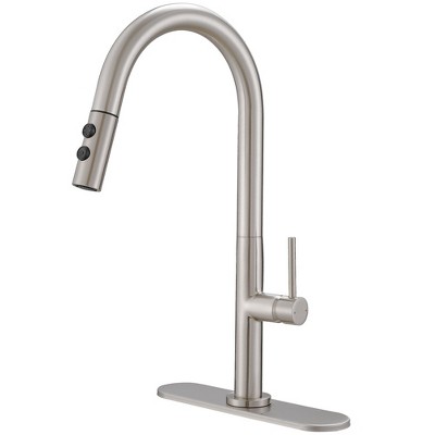 Single Handle Pull Down Sprayer Kitchen Faucet