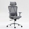 Dolonm Ergonomic Home  Office Chair with Adjustable Lumbar & Headrest - Breathable Mesh Back, 3D Armrests, 90°-120° Recline - 2 of 4