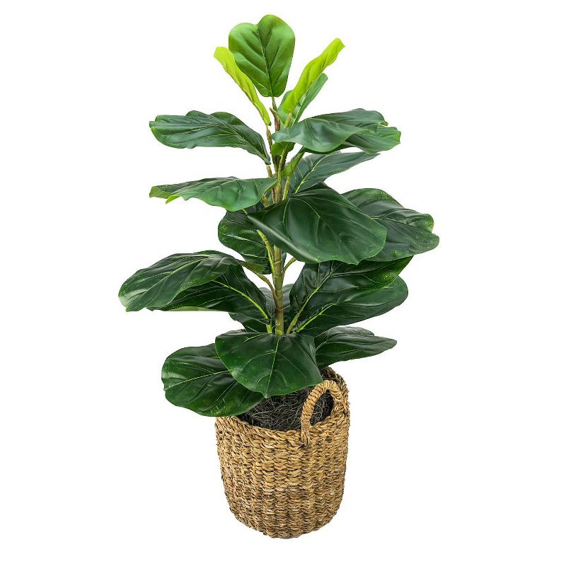 30&#34; x 16&#34; Artificial Fig Plant in Basket with Handles - LCG Florals, 5 of 12