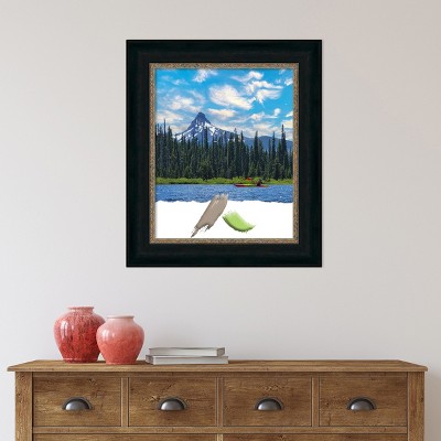 Paragon Bronze Antiqued Transitional Wall Picture Frame