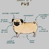 Men's Design By Humans Anatomy of a Pug By SophieCorrigan T-Shirt - 2 of 4
