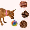 Unique Bargains Snuffle Ball for Dogs Designed for Small Breeds and Puppies Interactive Dog Toys Keeps Pets Busy Colorful Small - 4 of 4