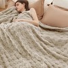 Bedsure | Cute Soft Cozy Checkered Throw Blanket for Couch - 2 of 4
