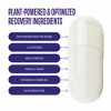 No Days Wasted DHM Detox Recovery Blend, 10 Count - 2 of 4