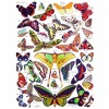 New York Puzzle Company Butterflies ~ Papillons 1000 Piece Puzzle - 3 of 4