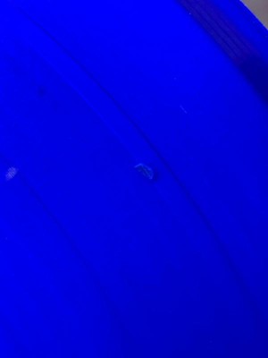 Guest review image 1 of 6, zoom in