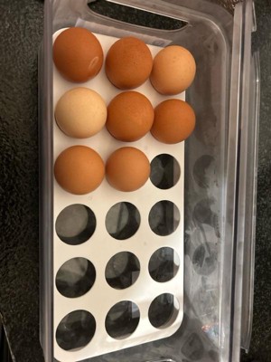 InterDesign Covered 12-Egg Holder, Clear, S