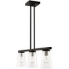 Livex Lighting Cityview 3 - Light Chandelier in  Black/Brushed Nickel - 2 of 4