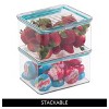 iDesign Plastic BPA-Free Pantry Food Storage Organizer Bin with Air-Tight Hinged Lid - Clear - 4 of 4