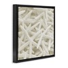 Stupell Industries Nautical White Starfish Photography, 25" x 25" - 3 of 4