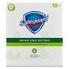 Safeguard Aloe Fresh Clean Scent Bar Soap - 12pk - 4oz each - image 2 of 3