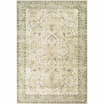 Hauteloom Crondall Sage Traditional Area Rug