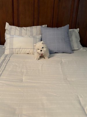 Guest review image 1 of 4, zoom in