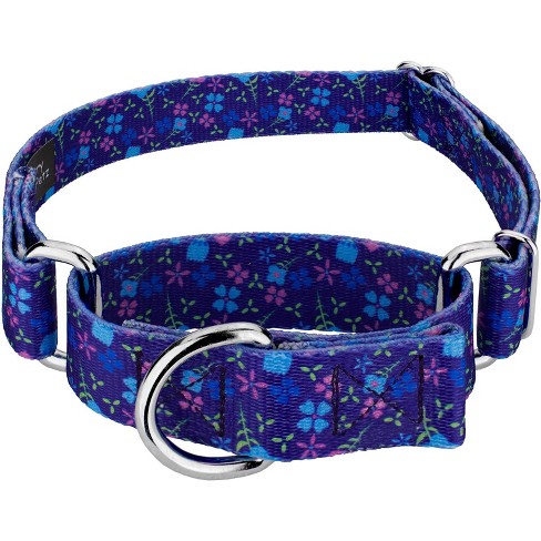 Country Brook Petz Blueberry Fields Martingale Dog Collar (1 Inch ...