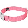 Country Brook Petz Premium Nylon Dog Collar with Metal Buckle for Small Medium Large Breeds - Vibrant 30+ Color Selection - 3 of 4