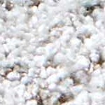 cream, charcoal, mustard, lightgray, mediumbrown, lightbrown