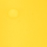 yellow 20 lbs