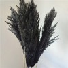 Alilang Decorative Dried Tall Grass Stems for Home Decoration and Floral Arrangements, 27.5 Inches - 4 of 4