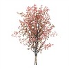 Mini Berry Spray Bundle (Set of 6) - 2 of 3