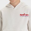 Boys' Legendary Pokémon Short Sleeve Fleece Hooded Sweatshirt - Gray - 2 of 4