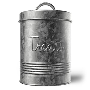 Amici Pet Retro Treats Storage Canister, 72 oz. , Galvanized Metal - 1 of 4