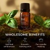 Gya Labs Basil Essential Oil 0.34 Fl Oz 100% Pure Natural for Skin, Massage, Fragrance, Candles Making Scent - 3 of 4