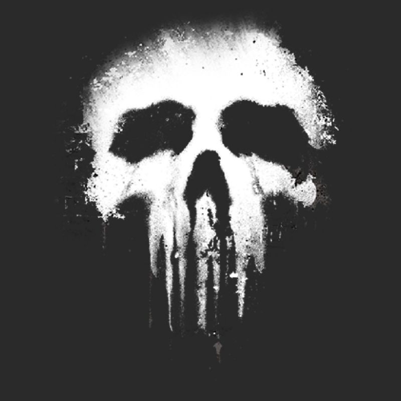 Men's Marvel Punisher Skull Logo Pull Over Hoodie, 2 of 5