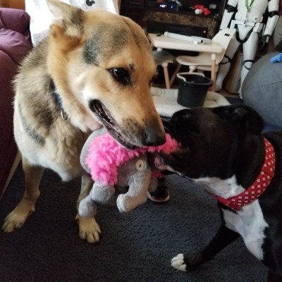 Guest review image 4 of 4, zoom in